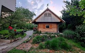 Vacation House Jurcek